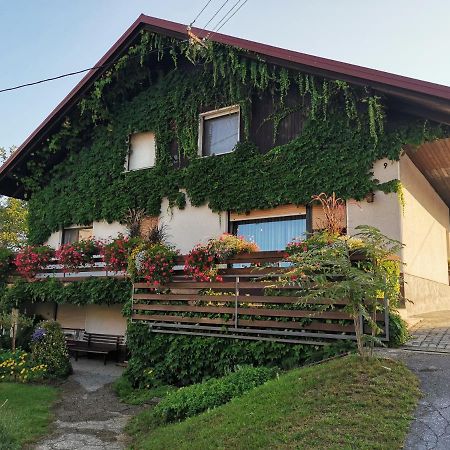 Apartmán Nauportus Vrhnika Exteriér fotografie